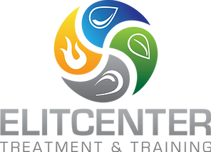 Holistic Treatment & Training-logo