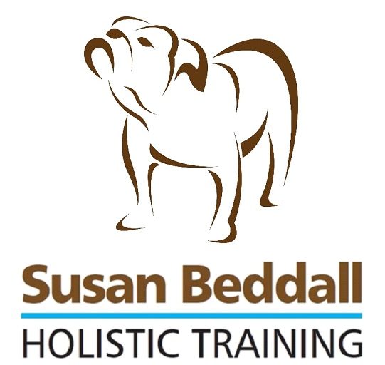 Susan Beddall Holistic Training