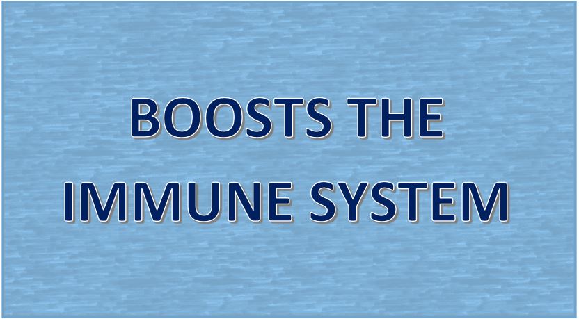 IMMUNE-SYSTEM-1
